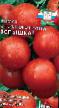 Los tomates variedades Vspyshka Foto y características