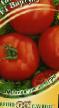 Los tomates variedades Virtuoz F1 Foto y características