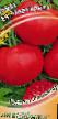 Tomatoes varieties Margarita F1 Photo and characteristics