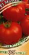 Tomatoes varieties Miledi F1 Gavrish Photo and characteristics