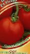 Tomatoes varieties Opera F1 Photo and characteristics