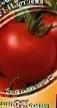 des tomates  Portlend F1 l'espèce Photo