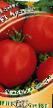 Tomater sorter Aramis F1 Fil och egenskaper