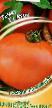 Tomatoes varieties Atos F1 Photo and characteristics