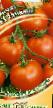 Tomatoes varieties Gamayun F1 Photo and characteristics