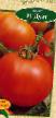 des tomates  Dueht F1 l'espèce Photo