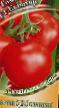 Tomatoes  Evpator F1 grade Photo