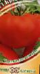 Ντομάτες ποικιλίες Krasnobajj F1 φωτογραφία και χαρακτηριστικά