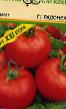 tomaatit lajit Radonezh F1 kuva ja ominaisuudet