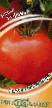 Tomatoes varieties Fanat F1 Photo and characteristics