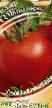 Tomater sorter Fantomas F1 Fil och egenskaper