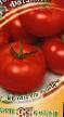 des tomates les espèces Fatalist F1 Photo et les caractéristiques