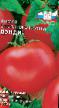 Tomater sorter Dehndi Fil och egenskaper