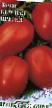 Tomater sorter Krasnaya presnya Zamoroz! Fil och egenskaper