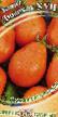 Ντομάτες ποικιλίες Lyudovik XVII φωτογραφία και χαρακτηριστικά