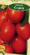 Los tomates  Serna variedad Foto