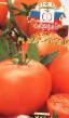 Tomatoes  Zhar-ptica F1 grade Photo