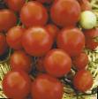 Tomatoes varieties Florida Petit Photo and characteristics