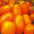 Tomatoes varieties Finik oranzhevyjj F1 Photo and characteristics