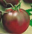 I pomodori le sorte Cygan foto e caratteristiche
