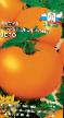 tomaatit lajit Zero kuva ja ominaisuudet
