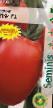 Tomater sorter Yaki F1  Fil och egenskaper