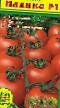 Tomater sorter Ildiko F1  Fil och egenskaper