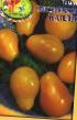 Tomatoes  Medovaya kaplya grade Photo