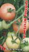 Los tomates  Rumyanec Peterburga  variedad Foto