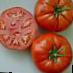 Tomater sorter Lajjf F1 Fil och egenskaper