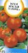 Tomater sorter Krasnaya shapochka Fil och egenskaper