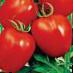 Los tomates variedades Palenka F1 Foto y características