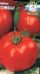 Tomaten Sorten Kombat Foto und Merkmale