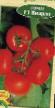 des tomates les espèces Viardo F1 Photo et les caractéristiques