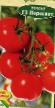 Los tomates variedades Peresvet F1 Foto y características