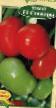 Tomatoes varieties Stozhary F1 Photo and characteristics