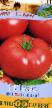 Los tomates  Tekhas variedad Foto
