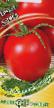 des tomates  Alisa l'espèce Photo