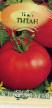 I pomodori le sorte Titan foto e caratteristiche