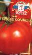tomaatit lajit Krasno Solnyshko F1 kuva ja ominaisuudet