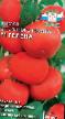 tomaatit lajit Gelena F1 kuva ja ominaisuudet