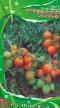 Los tomates variedades Leningradskijj kholodok Foto y características
