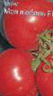 Tomater sorter Moya lyubov F1 (selekciya Myazinojj L.A.) Fil och egenskaper