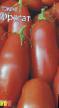 Tomater sorter Fregat (selekciya Myazinojj L.A.) Fil och egenskaper