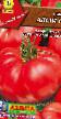 Tomater sorter  Alyjj F1 Fil och egenskaper