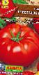 Tomater sorter Grebeshok F1 Fil och egenskaper