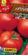 des tomates  Kutuzov l'espèce Photo