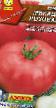 des tomates  Mikada rozovaya l'espèce Photo