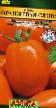 des tomates les espèces Oranzhevaya sliva Photo et les caractéristiques