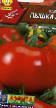 Los tomates  Pyshka F1 variedad Foto